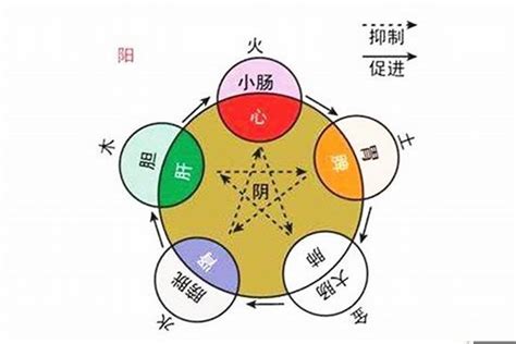 如何知道自己的五行属什么|生辰八字查詢，生辰八字五行查詢，五行屬性查詢